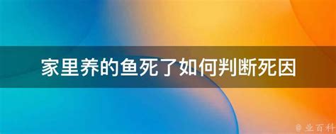 魚死了怎麼處理|3种方法来判断鱼死没死